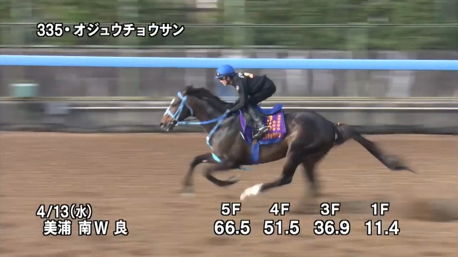 中山グランドジャンプ2022 追い切り