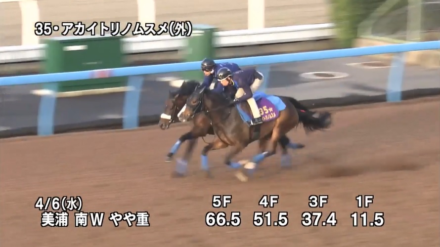 阪神牝馬ステークス2022 追い切り