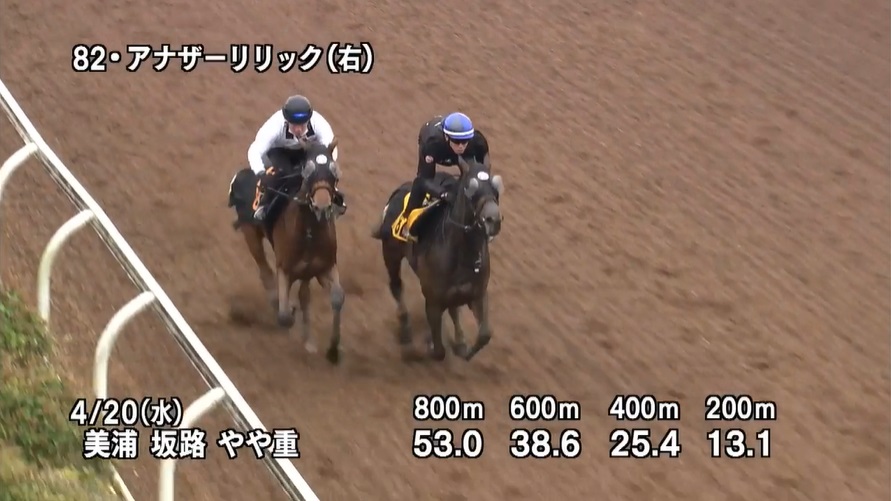 福島牝馬ステークス2022 追い切り