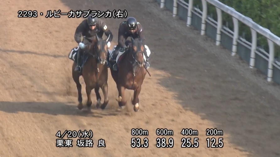 福島牝馬ステークス2022 追い切り