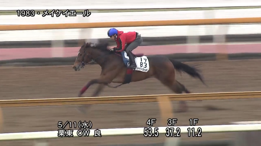 京王杯スプリングカップ2022 追い切り