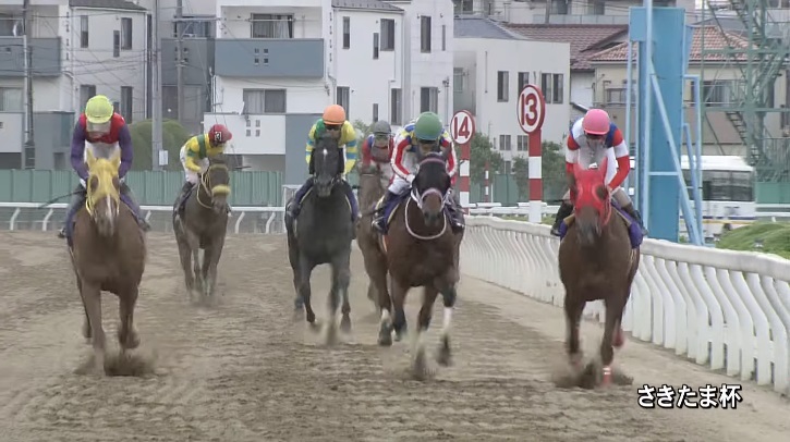 さきたま杯2022 サルサディオーネ