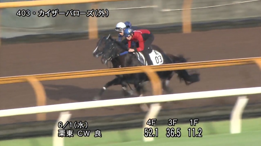鳴尾記念2022 追い切り