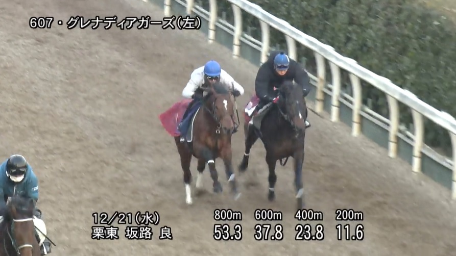 阪神カップ2022 追い切り