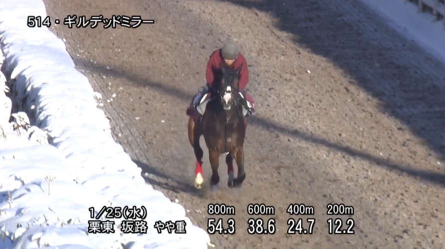 根岸ステークス2023 追い切り