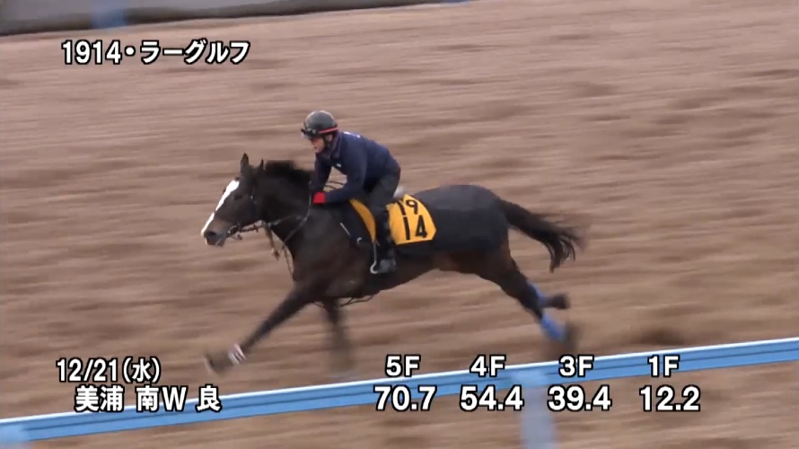 中山金杯2023 追い切り