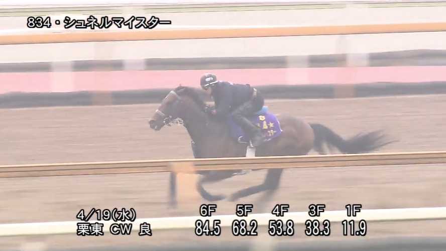 マイラーズカップ2023 追い切り