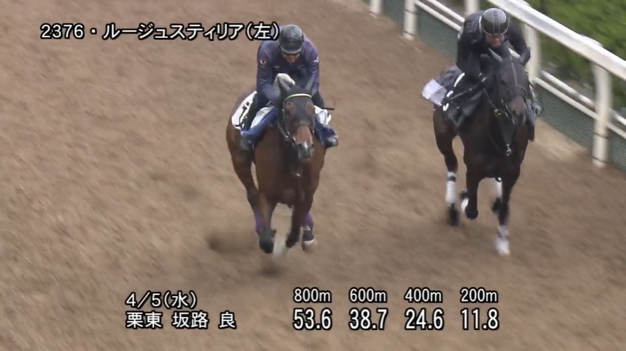 阪神牝馬ステークス2023 追い切り