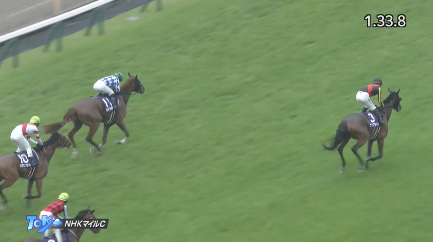 NHKマイルカップ2023 シャンパンカラー