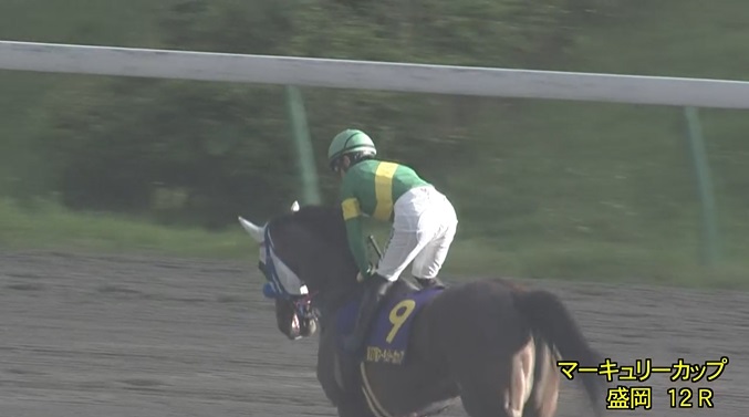 マーキュリーカップ2023 ウィルソンテソーロ