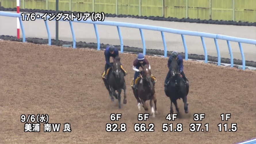 京成杯オータムハンデ2023 追い切り