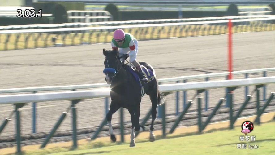 菊花賞2023 ドゥレッツァ