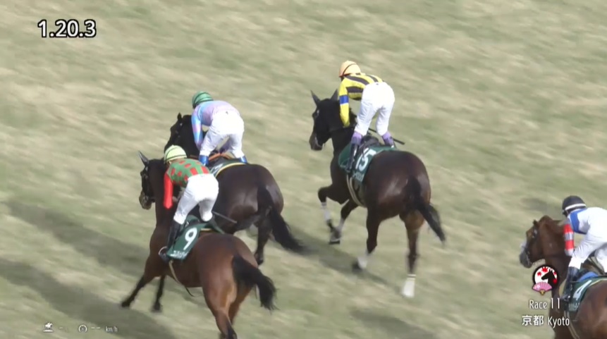 京都牝馬ステークス2024 ソーダズリング