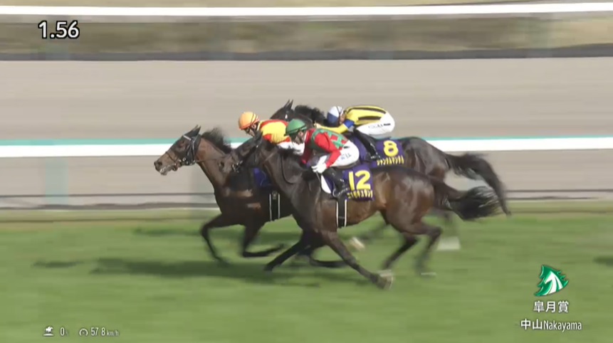 皐月賞2024 ジャスティンミラノ
