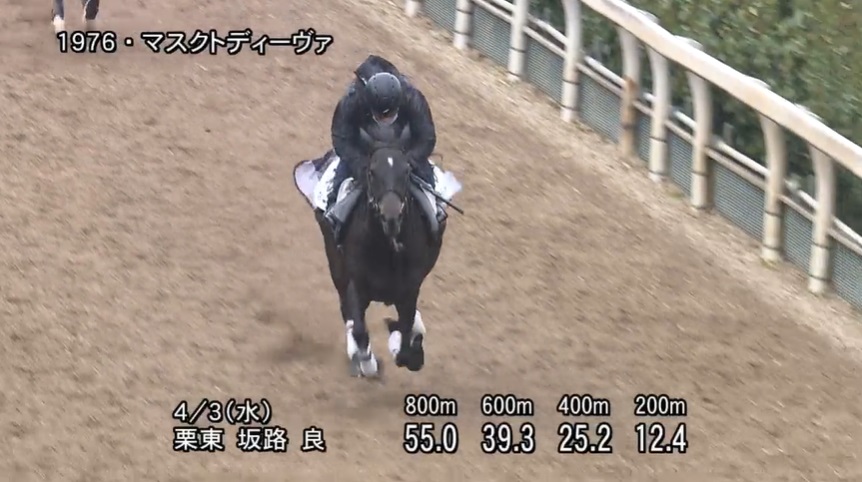 阪神牝馬ステークス2024 追い切り