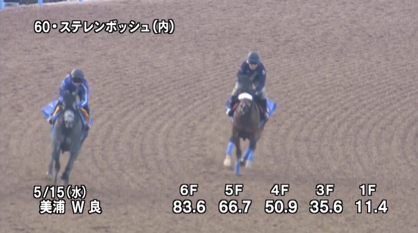 オークス2024 追い切り