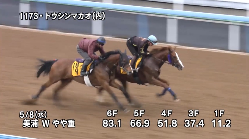 京王杯スプリングカップ2024 追い切り