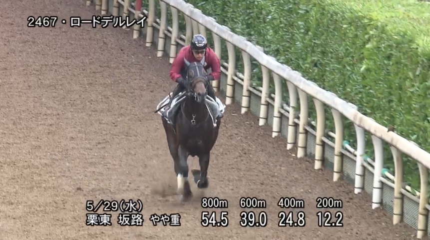 鳴尾記念2024 追い切り