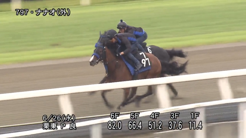 北九州記念2024 追い切り