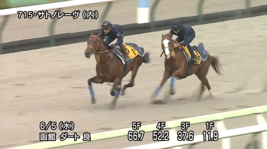 函館スプリントステークス2024 追い切り
