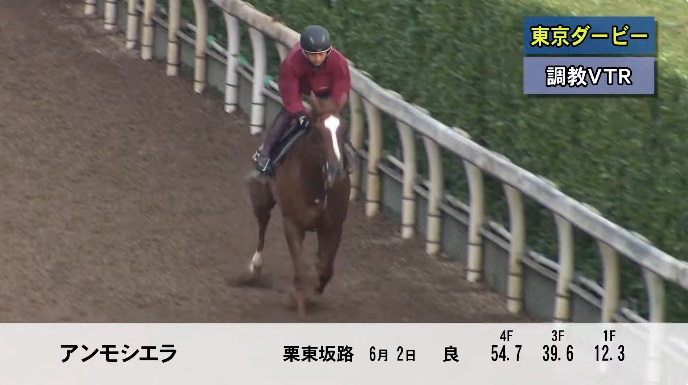 東京ダービー2024 追い切り