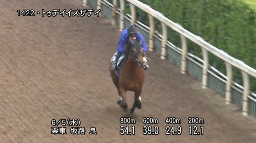エプソムカップ2024 追い切り