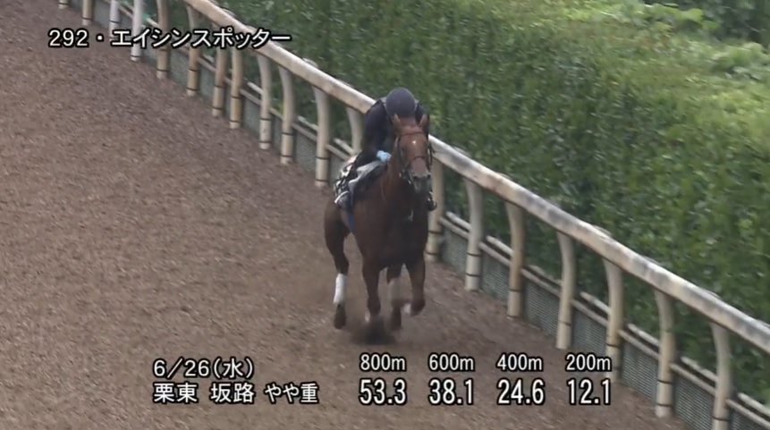 北九州記念2024 追い切り