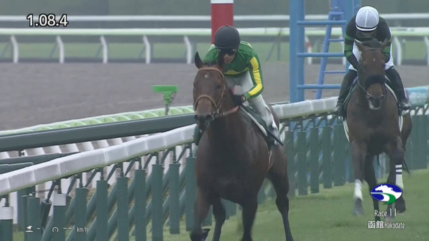 函館スプリントステークス2024 サトノレーヴ