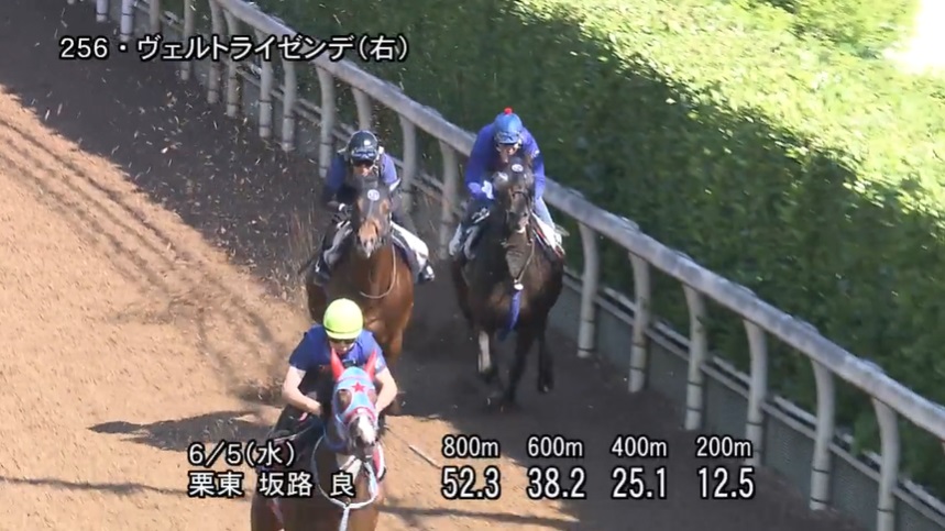 エプソムカップ2024 追い切り