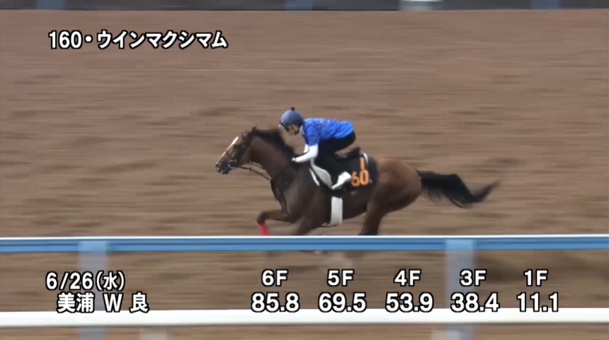 ラジオNIKKEI賞2024 追い切り