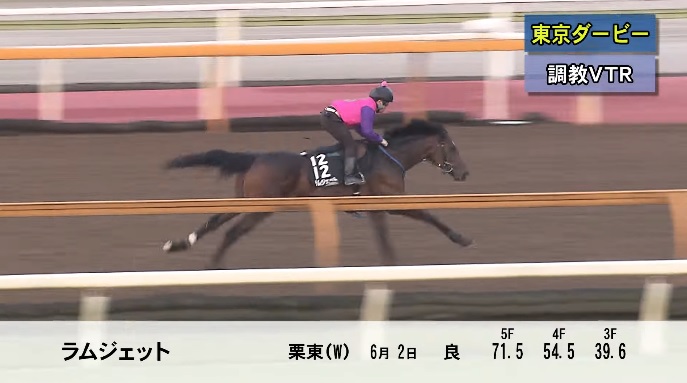 東京ダービー2024 追い切り