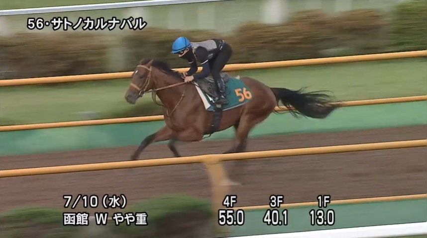 函館2歳ステークス2024 追い切り