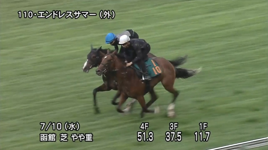 函館2歳ステークス2024 追い切り