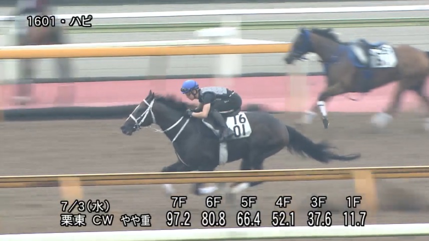 プロキオンステークス2024 追い切り