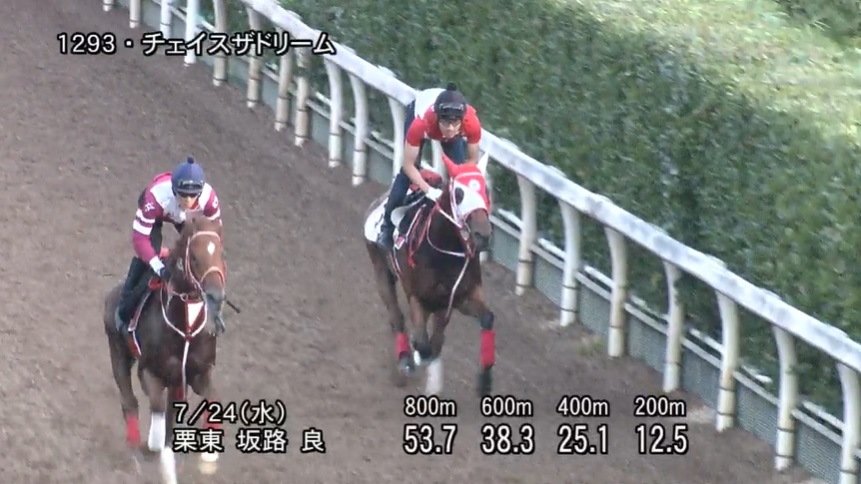 アイビスサマーダッシュ2024 追い切り