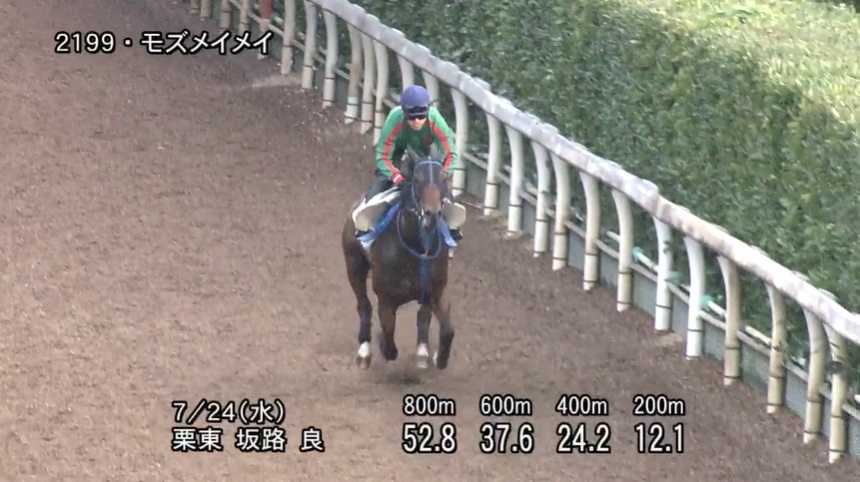 アイビスサマーダッシュ2024 追い切り
