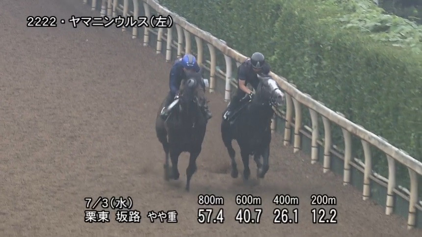 プロキオンステークス2024 追い切り