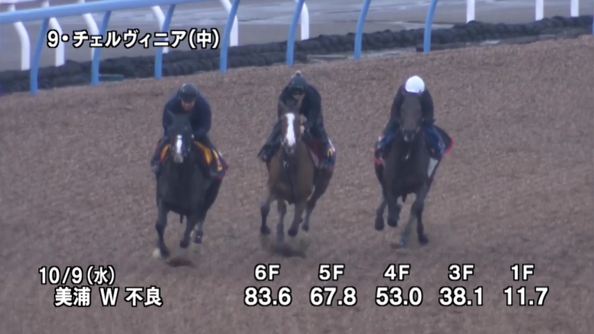 秋華賞2024 追い切り