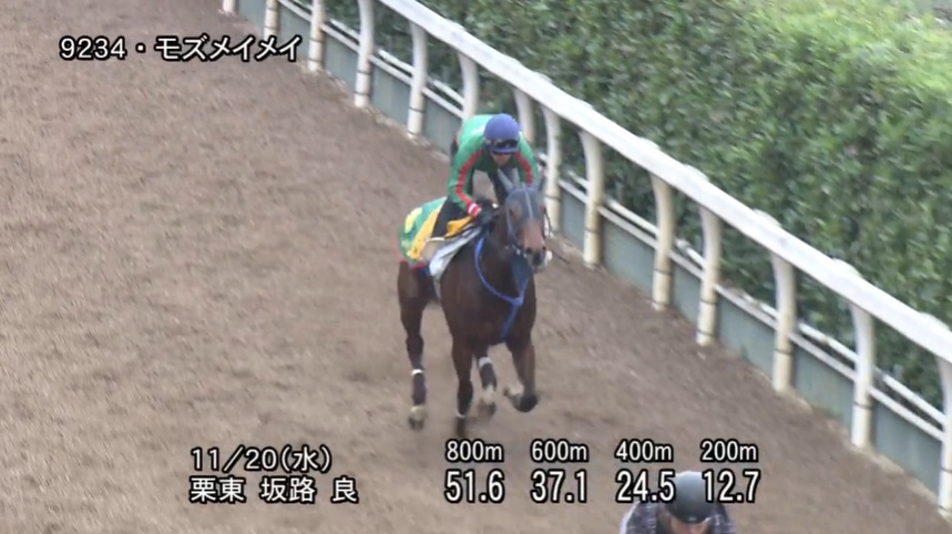 京阪杯2024 追い切り