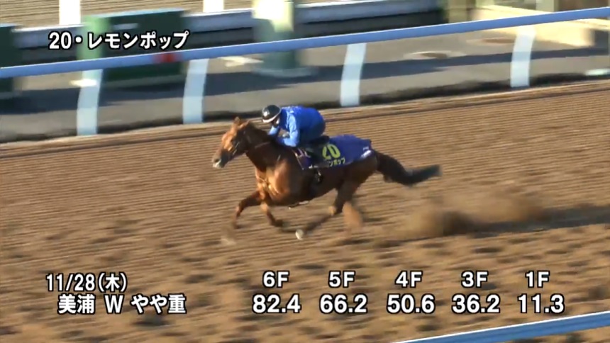 チャンピオンズカップ2024 追い切り