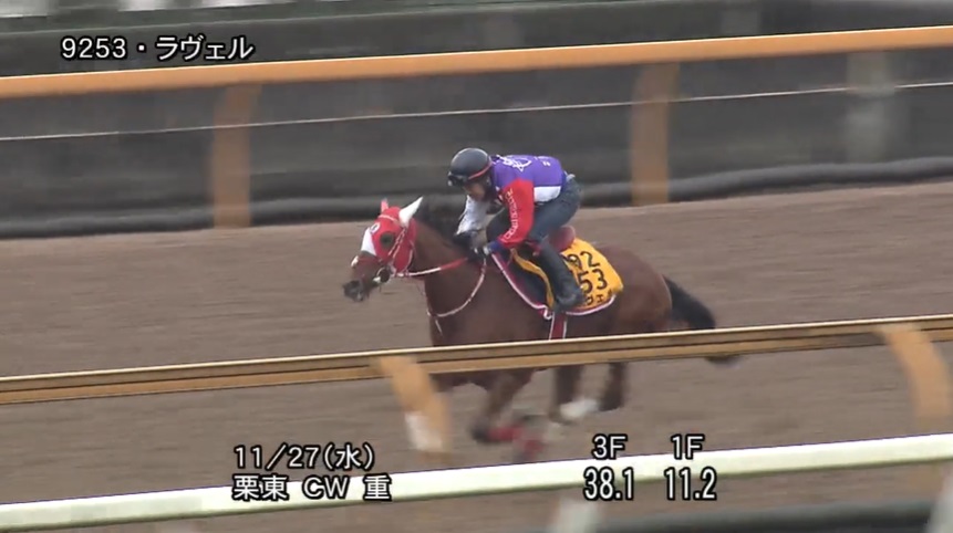 チャレンジカップ2024 追い切り