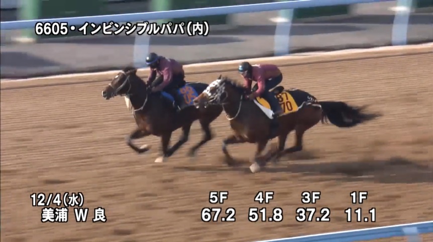 カペラステークス2024 追い切り