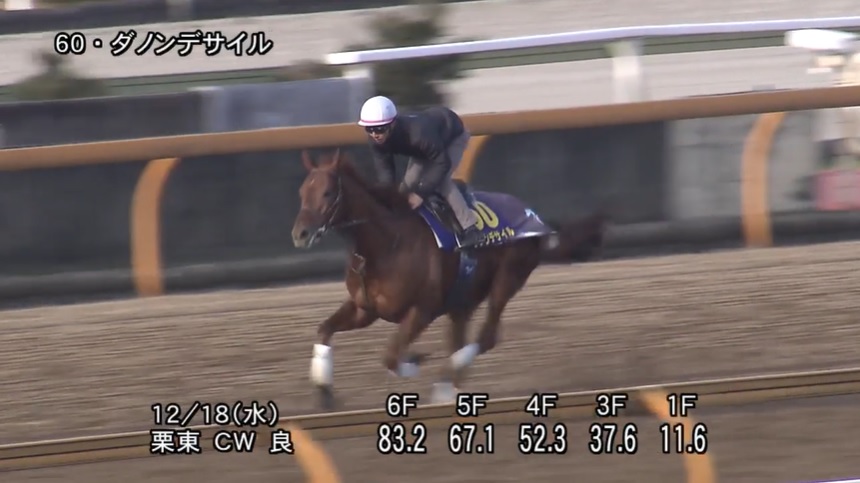 有馬記念2024 追い切り
