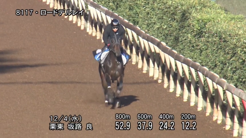 中日新聞杯2024 追い切り