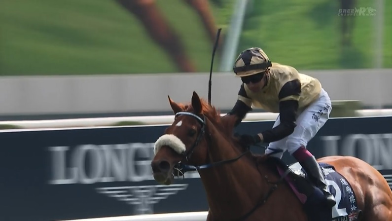 香港ヴァーズ2024 ジアヴェロット