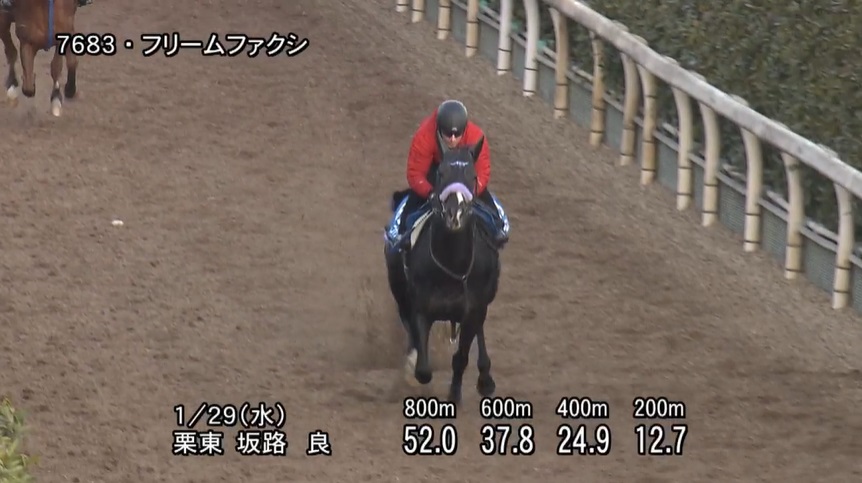 根岸ステークス2025 追い切り