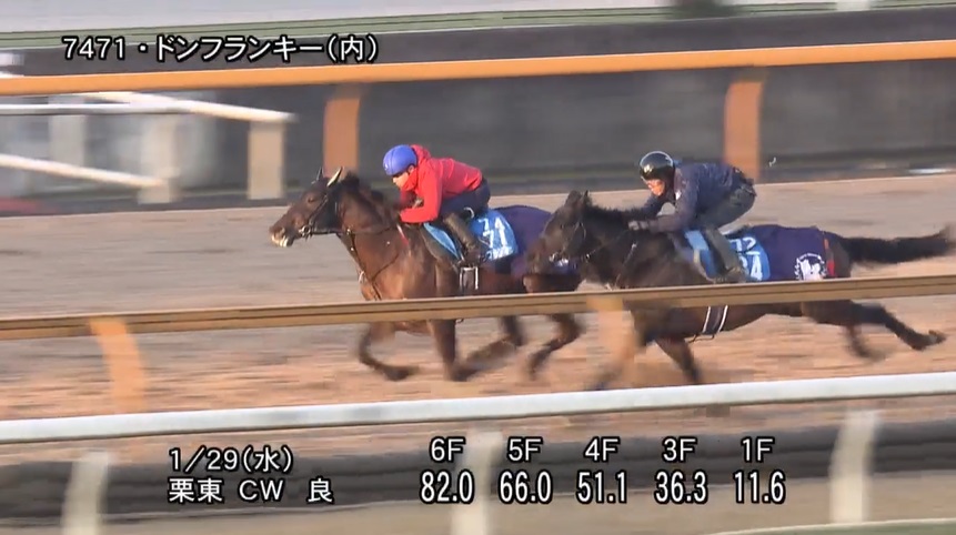 根岸ステークス2025 追い切り
