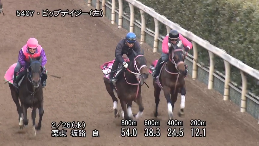 チューリップ賞2025 追い切り