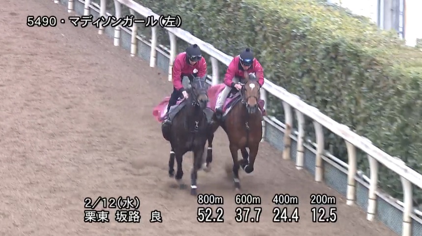 クイーンカップ2025 追い切り