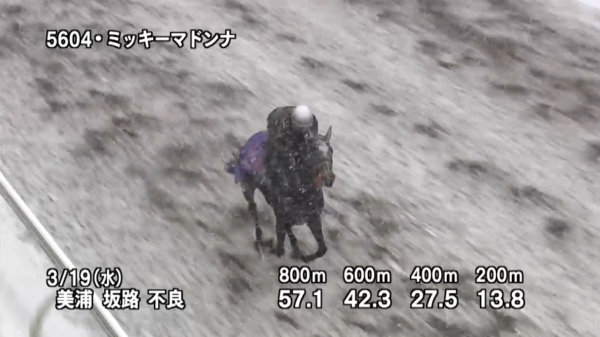 フラワーカップ2025 追い切り